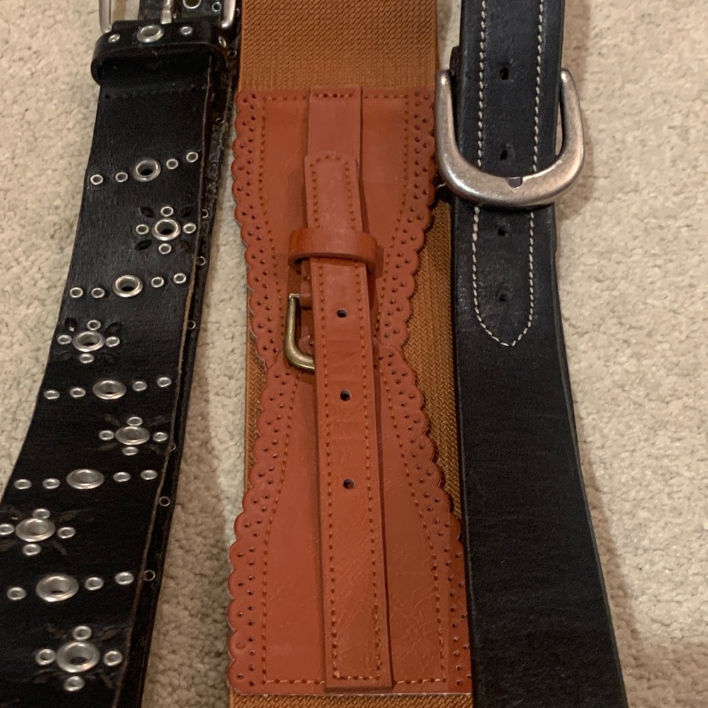 Elegant Black and Brown Women's Belts